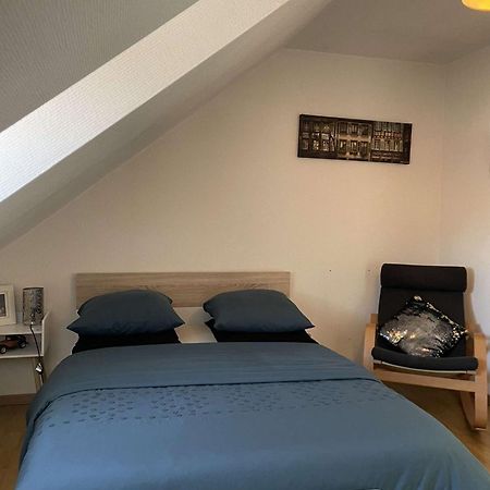 Joli Appartement Avec Place De Parking Prive Colmar Eksteriør billede