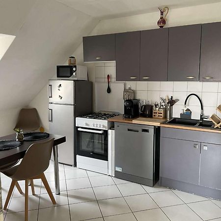 Joli Appartement Avec Place De Parking Prive Colmar Eksteriør billede