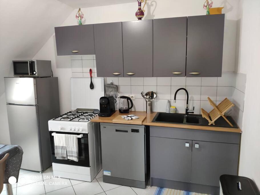 Joli Appartement Avec Place De Parking Prive Colmar Eksteriør billede