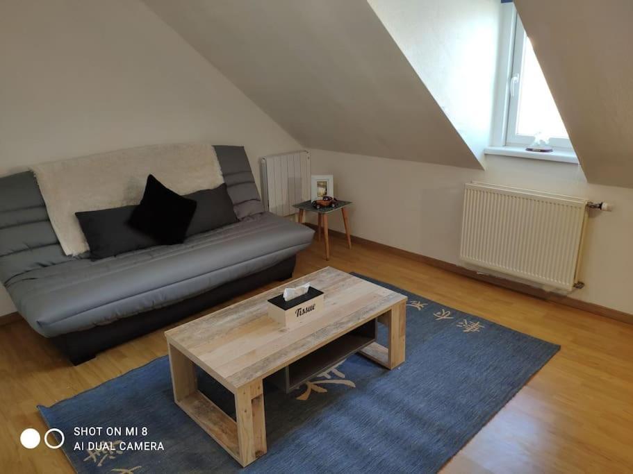 Joli Appartement Avec Place De Parking Prive Colmar Eksteriør billede