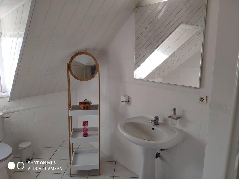 Joli Appartement Avec Place De Parking Prive Colmar Eksteriør billede