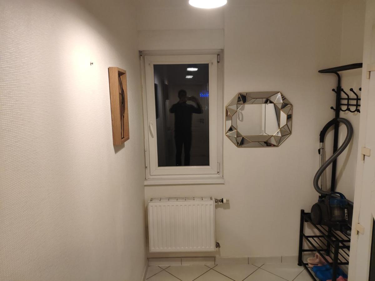Joli Appartement Avec Place De Parking Prive Colmar Eksteriør billede