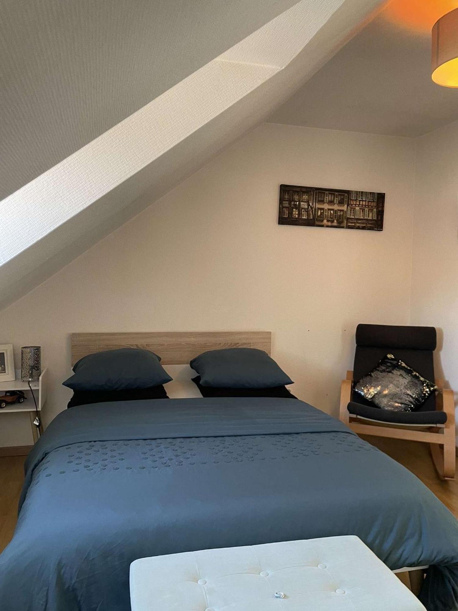 Joli Appartement Avec Place De Parking Prive Colmar Eksteriør billede